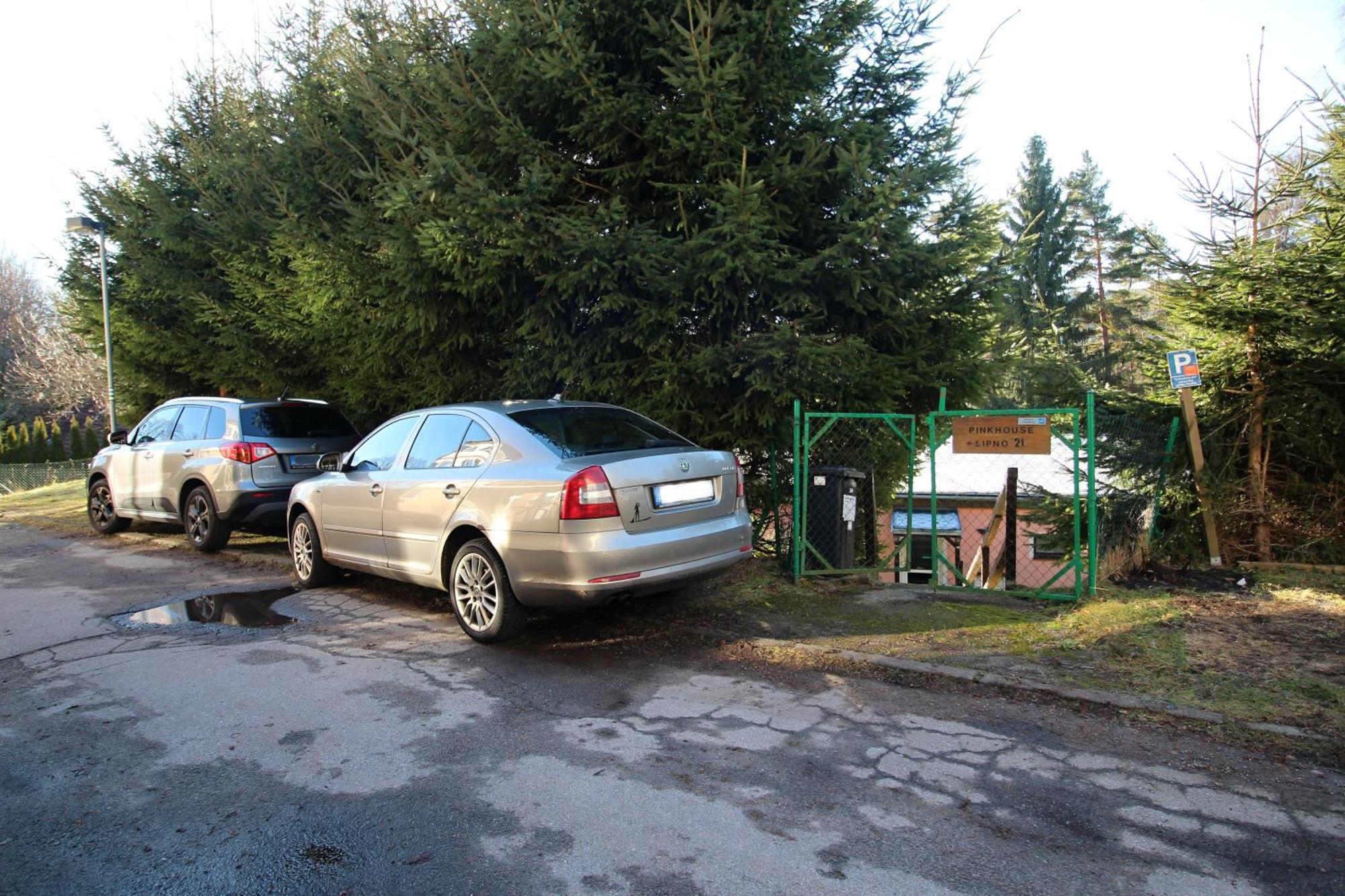 فيلا Pink House Lipno ليبنو ناد فلتافو المظهر الخارجي الصورة